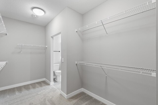 3291 Kady Ave NE, Saint Michael, MN 55376 - photo 24