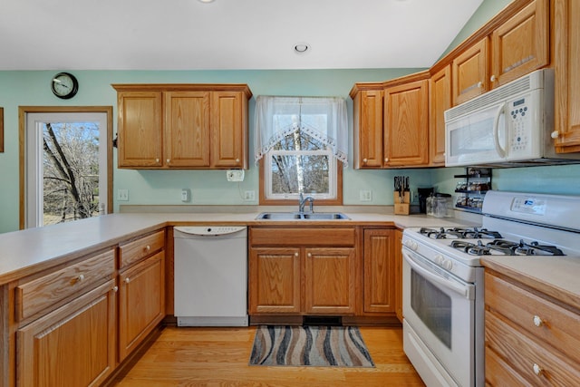 kitchen featuring a wealth of natural light, light wood-type flooring, sink, and white appliances