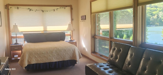 bedroom featuring carpet floors