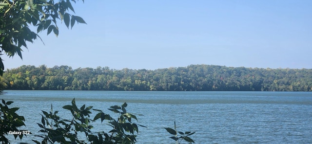 view of water feature