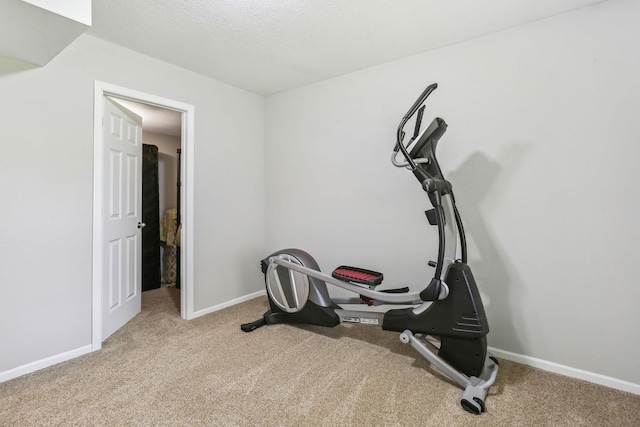 exercise area featuring light carpet