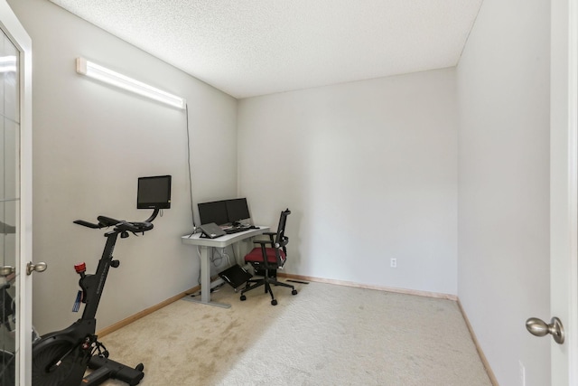 office space with carpet flooring and a textured ceiling