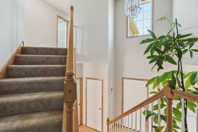 stairway with hardwood / wood-style flooring