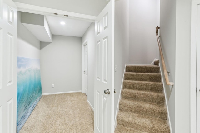 stairway featuring carpet flooring