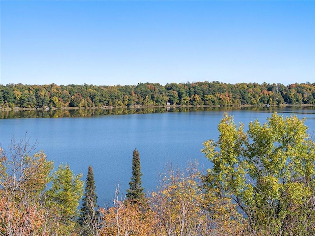 view of water feature with a forest view