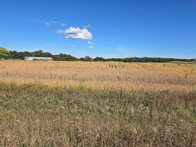 view of local wilderness featuring a rural view