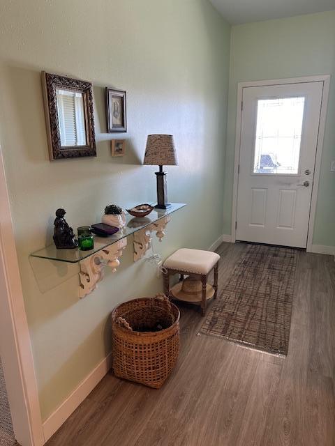 entryway with hardwood / wood-style flooring