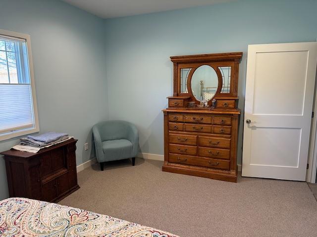 bedroom with light carpet