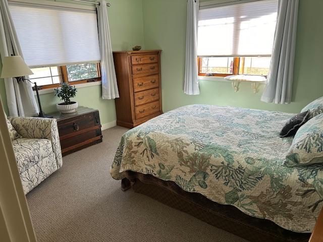 carpeted bedroom featuring multiple windows