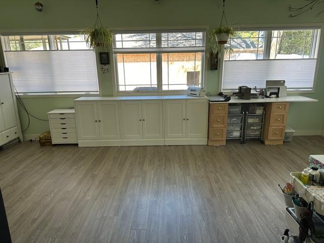 kitchen featuring light hardwood / wood-style flooring and a wealth of natural light