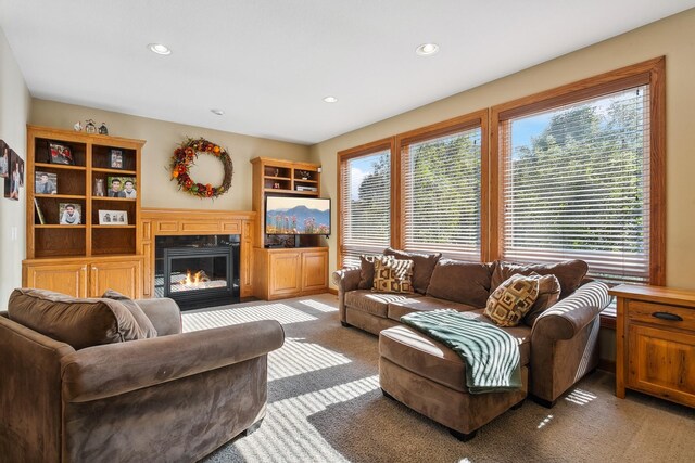 view of carpeted living room