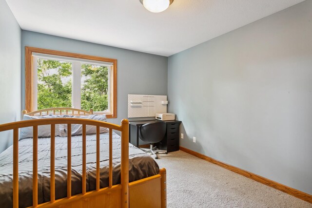 bedroom with carpet