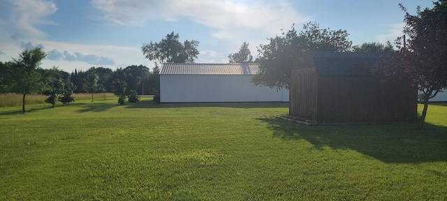 view of yard with a storage shed