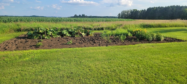 view of yard with a rural view