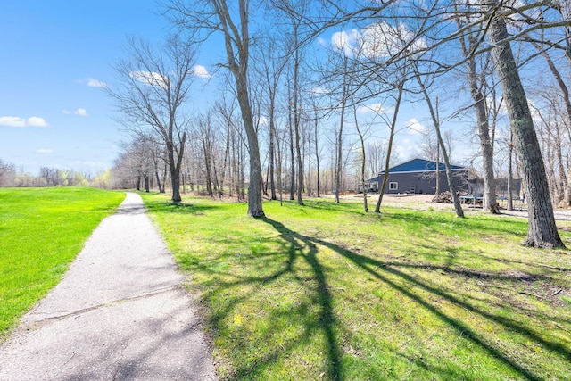 view of yard with driveway