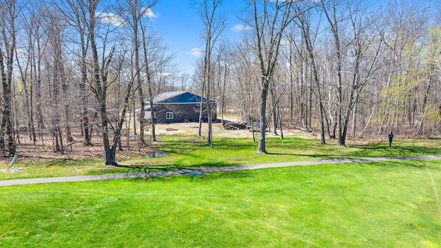 view of property's community featuring a lawn