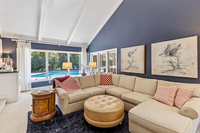 carpeted living room featuring beam ceiling, a textured ceiling, high vaulted ceiling, and plenty of natural light