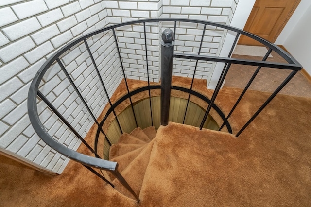 stairway featuring carpet