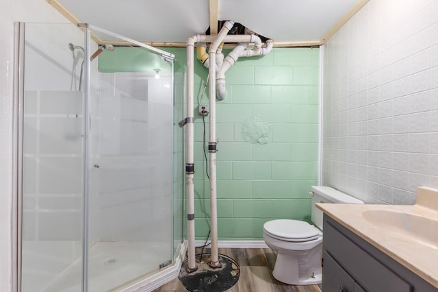 2135 24th Ave SW, Pine River Twp, MN 56474 - bathroom with a stall shower, vanity, toilet, and wood finished floors