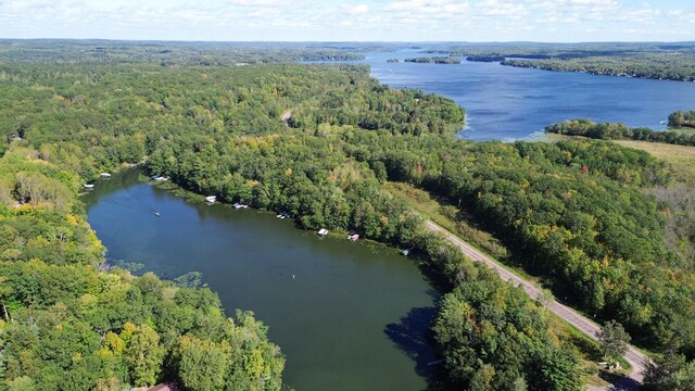 bird's eye view featuring a forest view and a water view