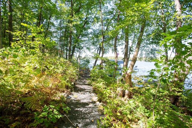 view of nature with a water view