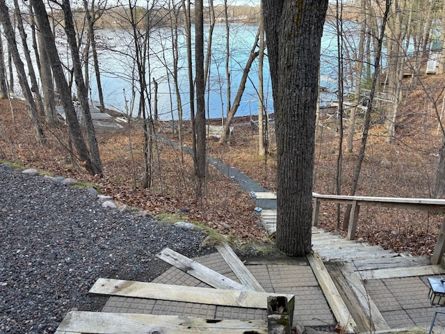 view of yard with a water view