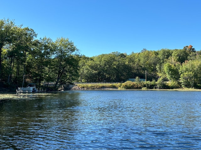 water view with a view of trees