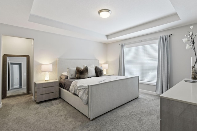 carpeted bedroom featuring a tray ceiling