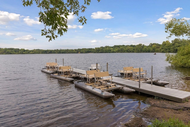 dock area featuring a water view