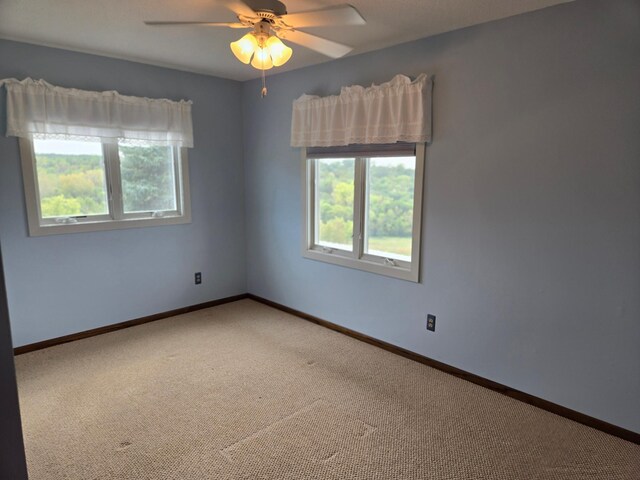 6762 Highview Rd, Cannon Falls, MN 55009 - photo 63