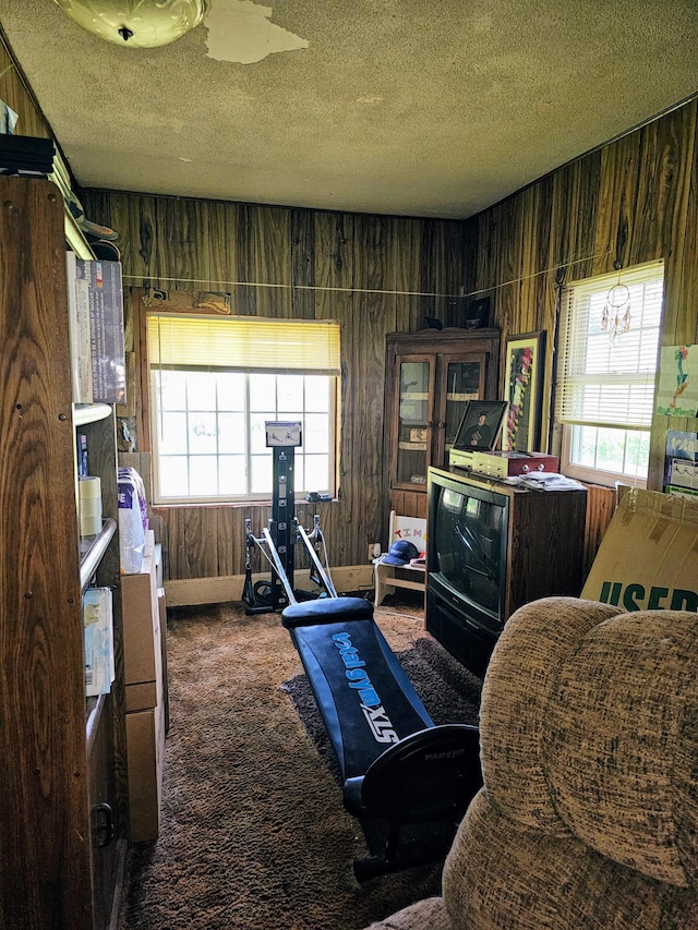 interior space featuring wooden walls, plenty of natural light, and carpet flooring