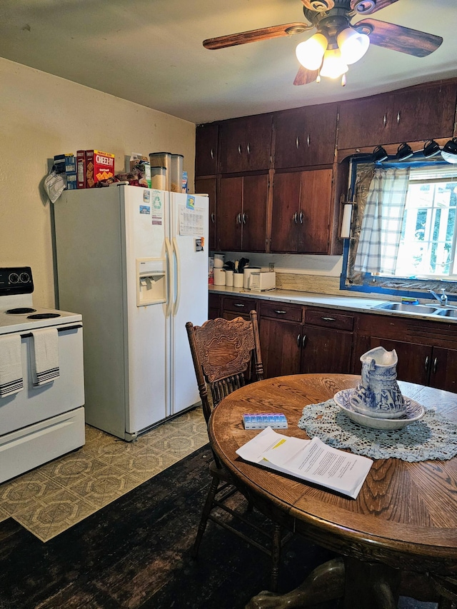 kitchen featuring ceiling fan, dark brown cabinetry, sink, and white appliances