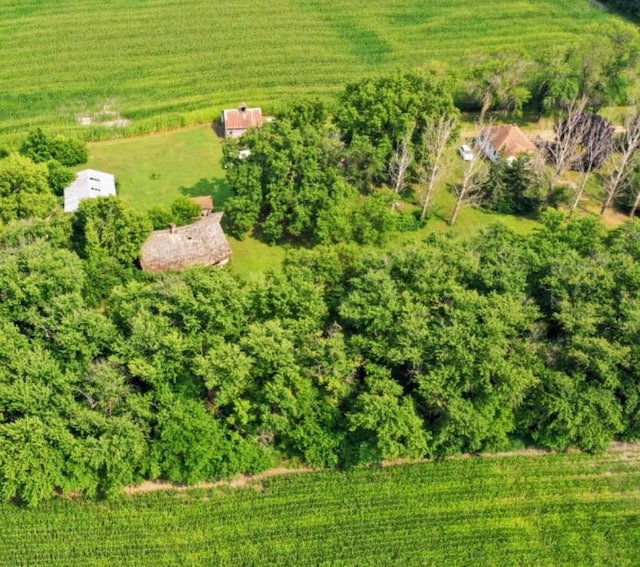 bird's eye view featuring a rural view