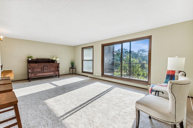 living area featuring a textured ceiling, carpet, and baseboard heating