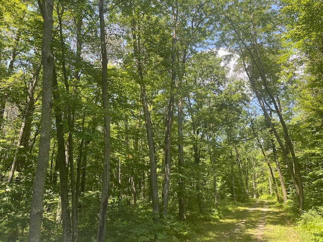 24126 County Road 19, Merrifield, MN 56465 - view of local wilderness with a view of trees