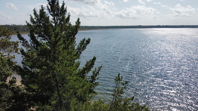 24126 County Road 19, Merrifield, MN 56465 - water view