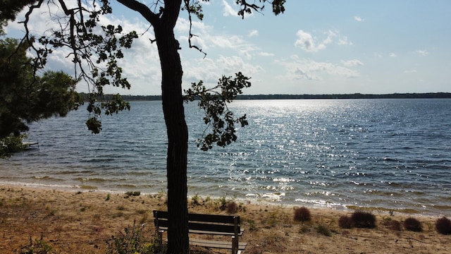 24126 County Road 19, Merrifield, MN 56465 - water view