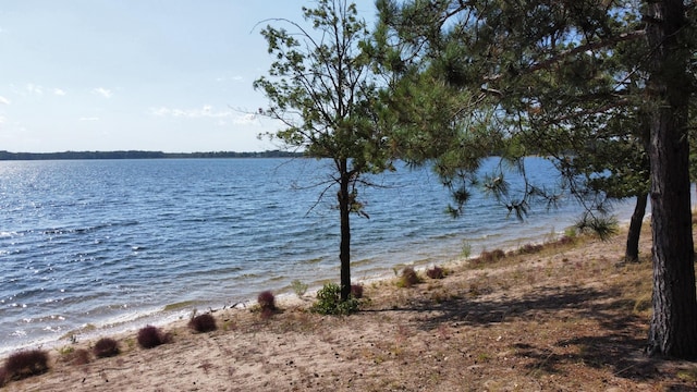 24126 County Road 19, Merrifield, MN 56465 - water view
