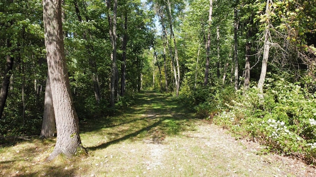 24126 County Road 19, Merrifield, MN 56465 - view of nature with a forest view