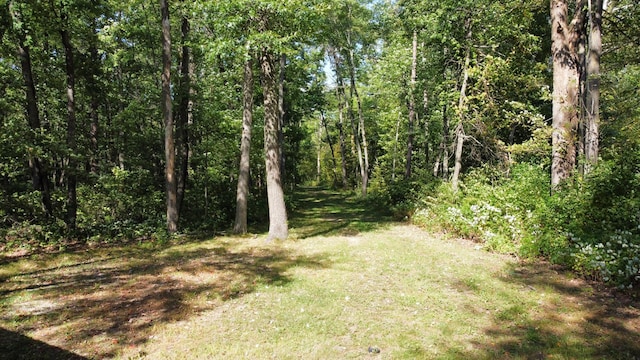 24126 County Road 19, Merrifield, MN 56465 - view of local wilderness with a view of trees