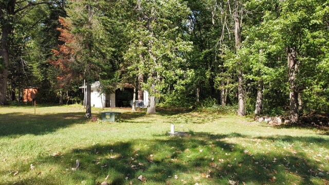 view of yard featuring an outdoor structure