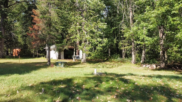 24126 County Road 19, Merrifield, MN 56465 - view of yard with a wooded view and an outbuilding