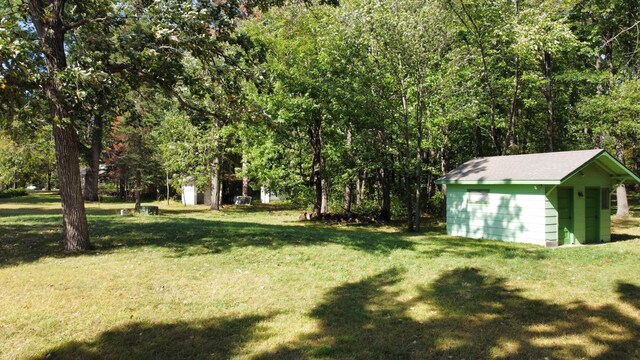 view of yard with a storage shed