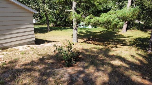 24126 County Road 19, Merrifield, MN 56465 - view of yard