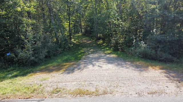 24126 County Road 19, Merrifield, MN 56465 - view of street featuring a wooded view