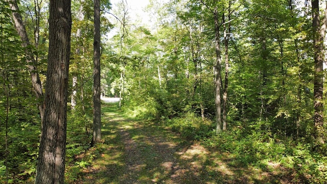 24126 County Road 19, Merrifield, MN 56465 - view of landscape featuring a wooded view
