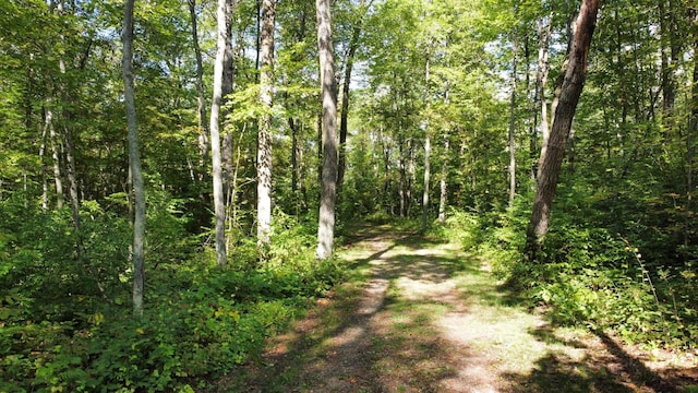 24126 County Road 19, Merrifield, MN 56465 - view of landscape featuring a wooded view