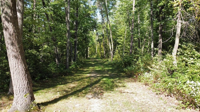 24126 County Road 19, Merrifield, MN 56465 - view of road with a view of trees