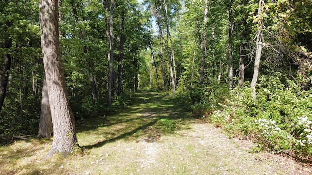24126 County Road 19, Merrifield, MN 56465 - view of landscape featuring a view of trees