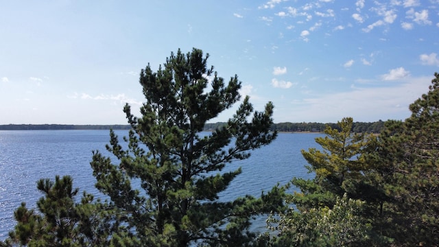 24126 County Road 19, Merrifield, MN 56465 - water view